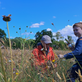 A father and son explore a wildflower together and make discoveries