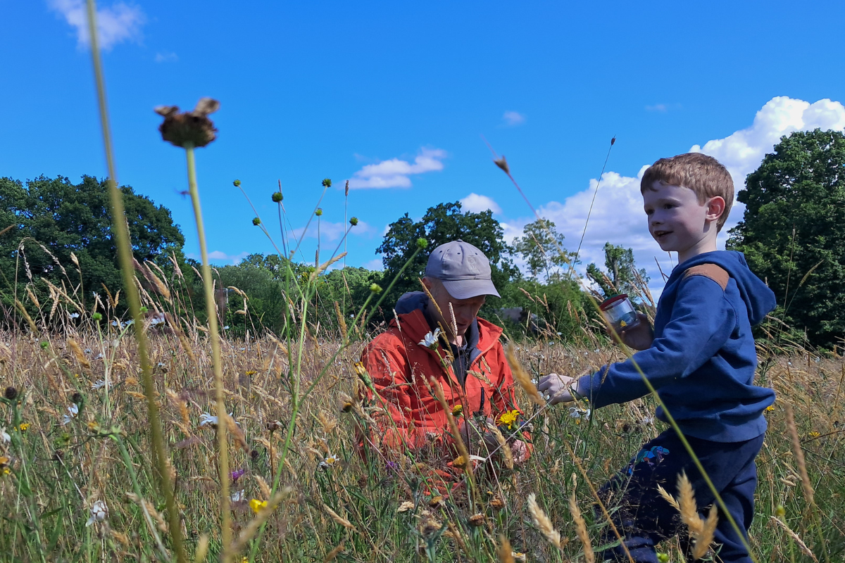 A father and son explore a wildflower together and make discoveries