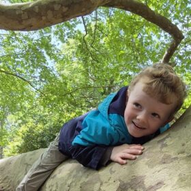 a small child in a tree looking delighted